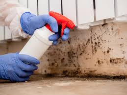 Best HVAC Mold Inspection and Cleaning  in Wellsville, KS